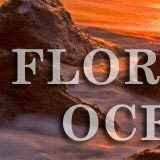 e-Advertising / Email Marketing Creative Design