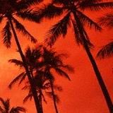 e-Advertising / Email Marketing Creative Design