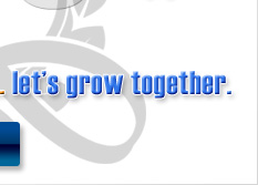 Real Estate - Email Marketing & Advertising Banners